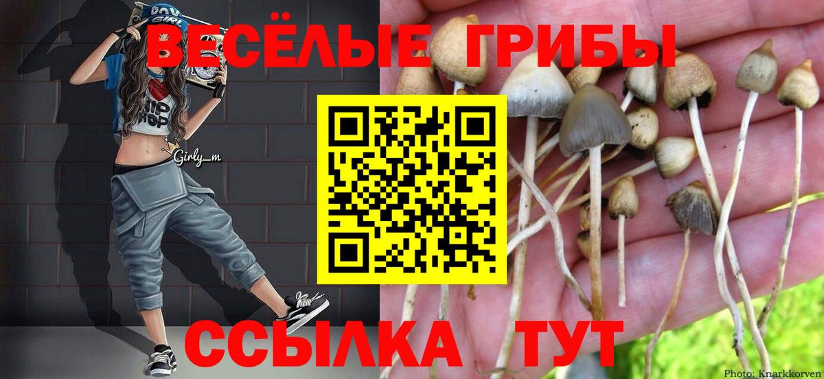 Псилоцибиновые грибы GOLDEN TEACHER Рославль