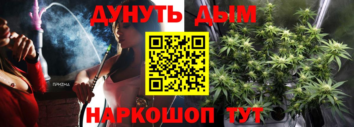 Шишки марихуана планчик Рославль